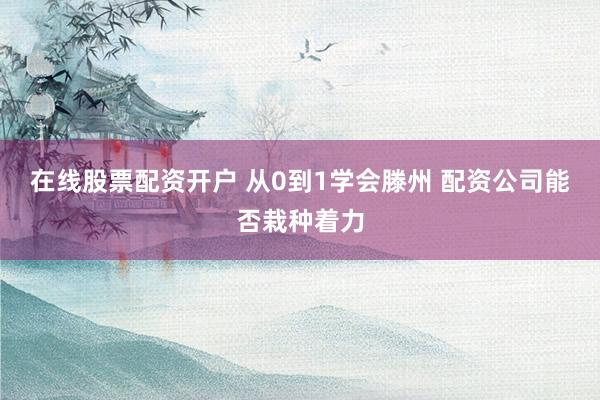 在线股票配资开户 从0到1学会滕州 配资公司能否栽种着力
