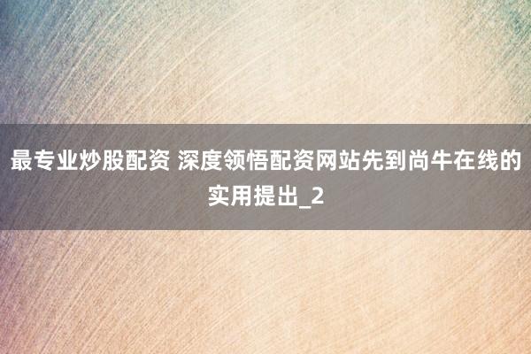 最专业炒股配资 深度领悟配资网站先到尚牛在线的实用提出_2